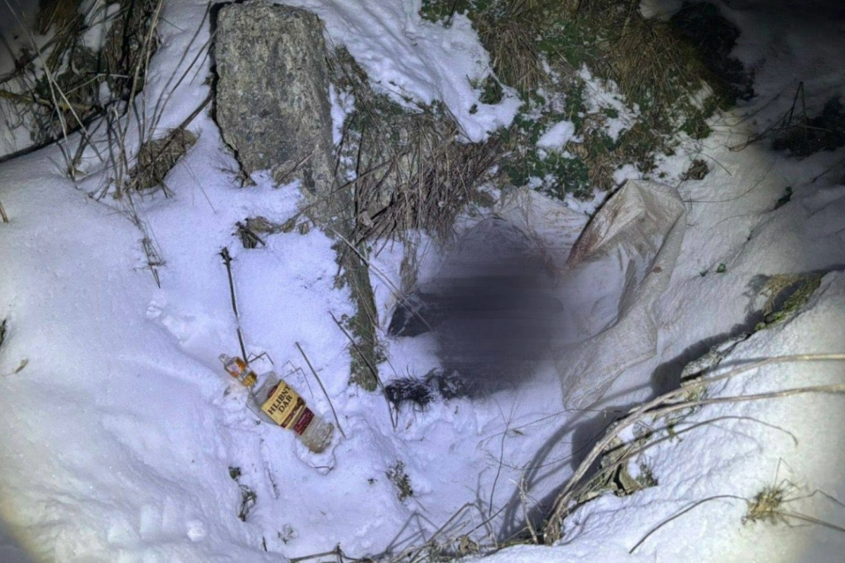 На Черкащині чоловіка підозрюють у вбивстві собак