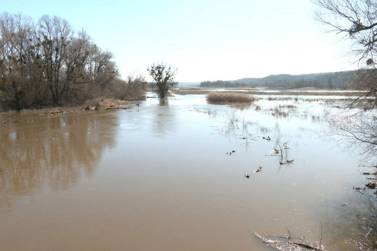 На полі рибу можна ловити: на Черкащині з берегів вийшла річка Тясмин