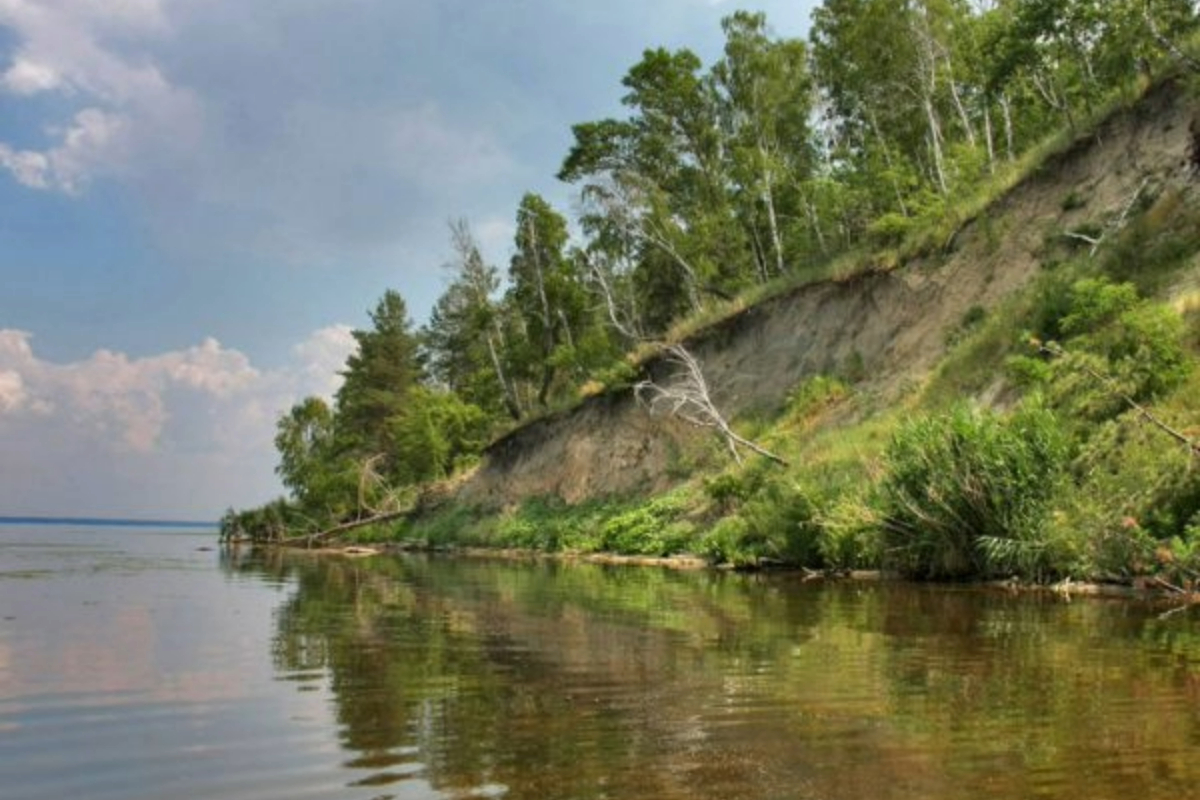 До бюджетів Черкащини надійшло 51,3 млн грн за використання природних ресурсів