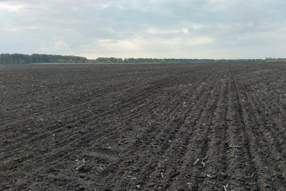 Господарства на Черкащині випробовують різні технології обробітку ґрунту