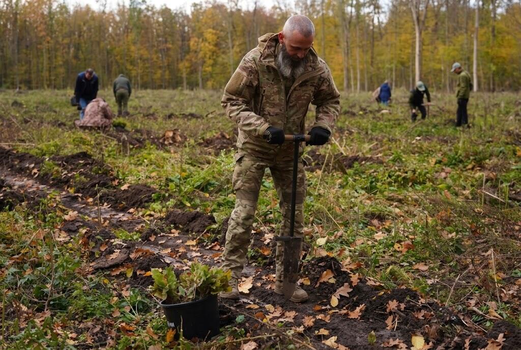 На Черкащині висадили майже 6,5 тисяч дерев на ділянці площею 1,8 гектара
